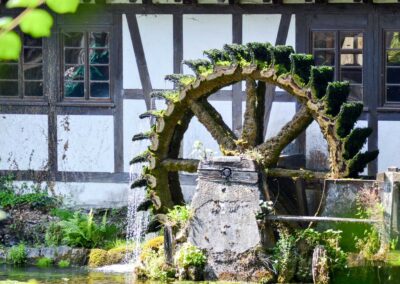 Am Blautopf in Blaubeuren 15 Hammerschmiede am Blautopf