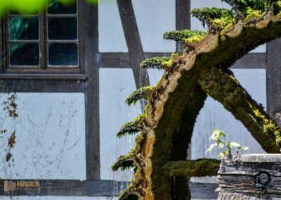 Am Blautopf in Blaubeuren 16 Hammerschmiede am Blautopf