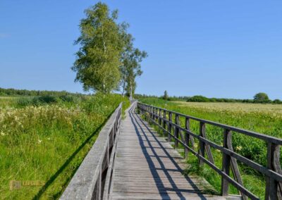 Federsee bei Bad Buchau