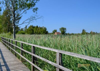 Federsee bei Bad Buchau