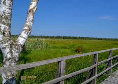 Federsee bei Bad Buchau
