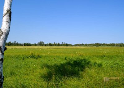 Federsee bei Bad Buchau