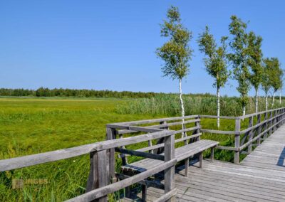 Federsee bei Bad Buchau