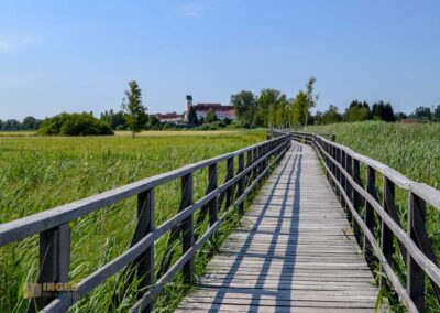 Stiftskirche Bad Buchau am Federsee