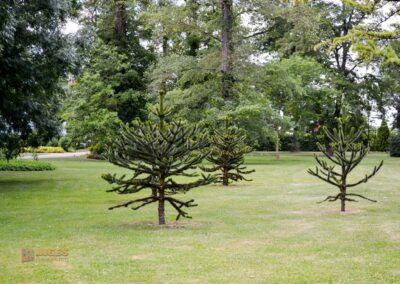 Schlosspark Bad Rappenau