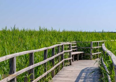 Federsee bei Bad Buchau