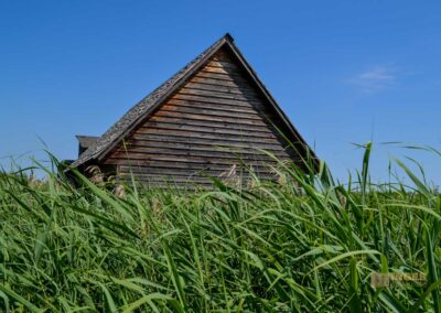 Federsee bei Bad Buchau