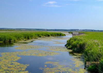 Federsee bei Bad Buchau