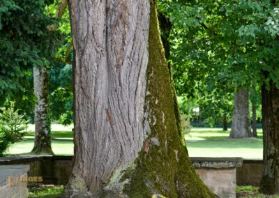 Schlosspark Bad Rappenau