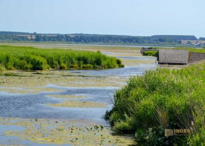 Federsee bei Bad Buchau