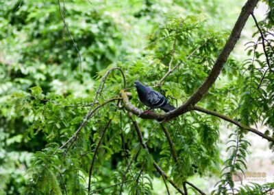 Wasserschloss Bad Rappenau