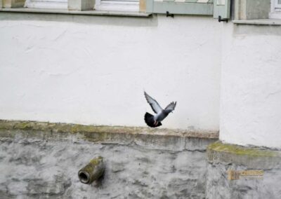 Wasserschloss Bad Rappenau