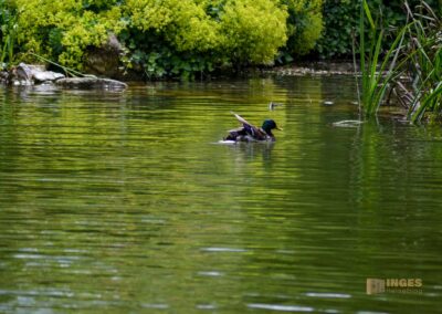 Wasserschloss Bad Rappenau