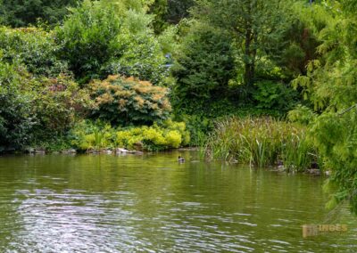 Wasserschloss Bad Rappenau