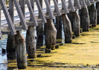 Federsee bei Bad Buchau