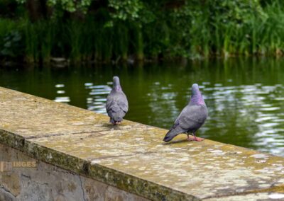 Wasserschloss Bad Rappenau