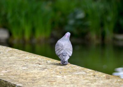 Wasserschloss Bad Rappenau