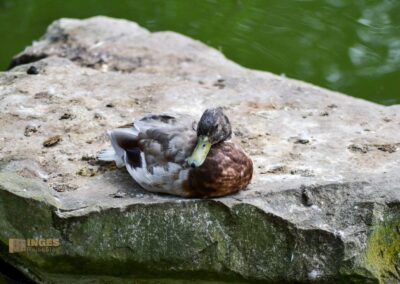 Wasserschloss Bad Rappenau