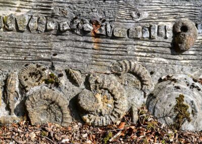 Schloss Lichtenstein 36 Schloss Lichtenstein