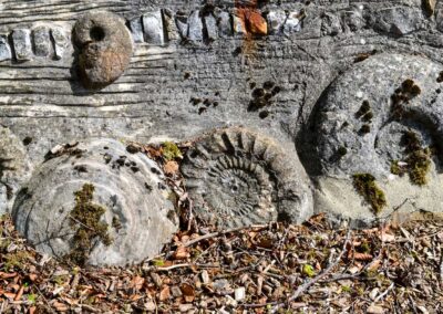 Schloss Lichtenstein 37 Schloss Lichtenstein