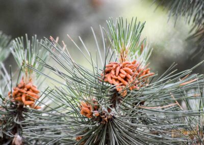 Schlosspark Bad Rappenau