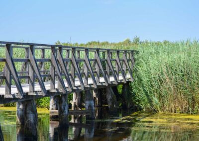 Federsee bei Bad Buchau