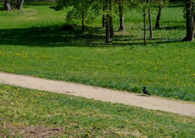 Schloss Lichtenstein 39 Schloss Lichtenstein