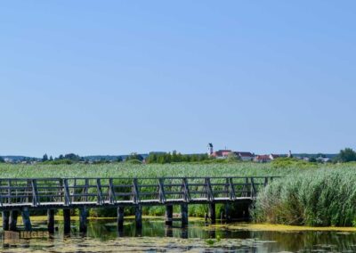Blick auf die Stiftskirche Bad Buchau