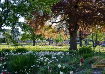 Stadtgarten Schwäbisch Gmünd