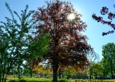 Stadtgarten Schwäbisch Gmünd