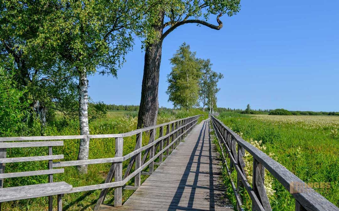 Am Federsee bei Bad Buchau