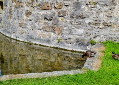 Stadtgraben Bad Wimpfen