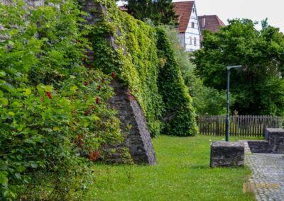 Zwinger im Stadtgraben Bad Wimpfen