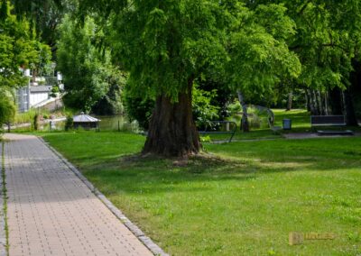 Stadtgraben Bad Wimpfen