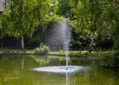Stadtgraben Bad Wimpfen