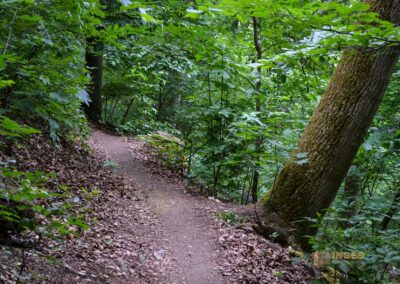 Weg zum Hohenstaufen