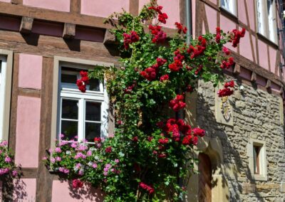 historische Altstadt in Bad Wimpfen