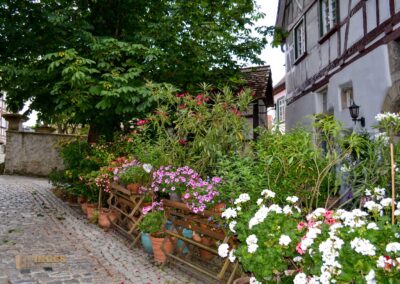 historische Altstadt Bad Wimpfen
