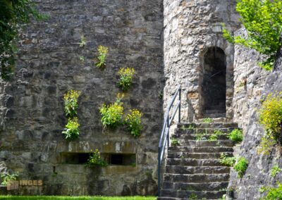 Zwinger im Stadtgraben Bad Wimpfen
