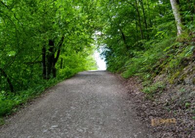 Weg zum Franz-Keller Haus Kaltes Feld bei Schwäbisch Gmünd
