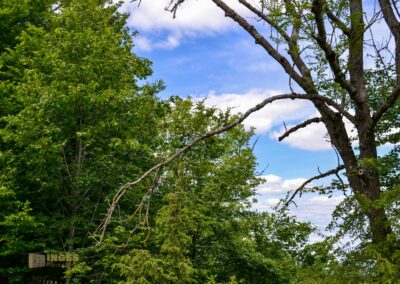 Weg zum Franz-Keller Haus Kaltes Feld bei Schwäbisch Gmünd