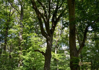 Weg zum Franz-Keller Haus Kaltes Feld bei Schwäbisch Gmünd