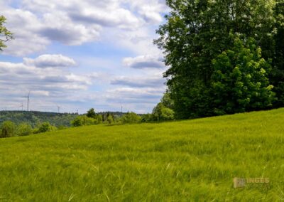 Weg zum Franz-Keller Haus Kaltes Feld bei Schwäbisch Gmünd