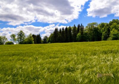 Weg zum Franz-Keller Haus Kaltes Feld bei Schwäbisch Gmünd