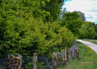 Weg zum Franz-Keller Haus Kaltes Feld bei Schwäbisch Gmünd