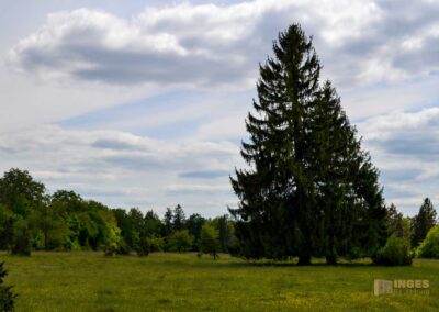 Kaltes Feld bei Schwäbisch Gmünd
