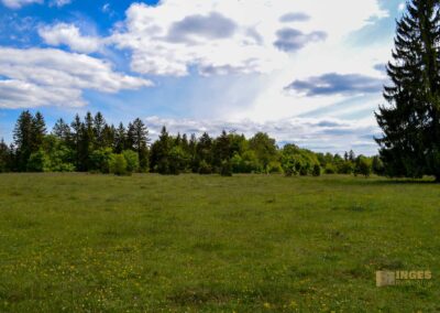 Kaltes Feld bei Schwäbisch Gmünd