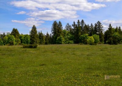Kaltes Feld bei Schwäbisch Gmünd