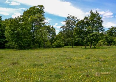 Kaltes Feld bei Schwäbisch Gmünd