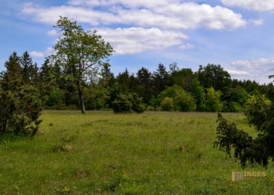 Kaltes Feld bei Schwäbisch Gmünd
